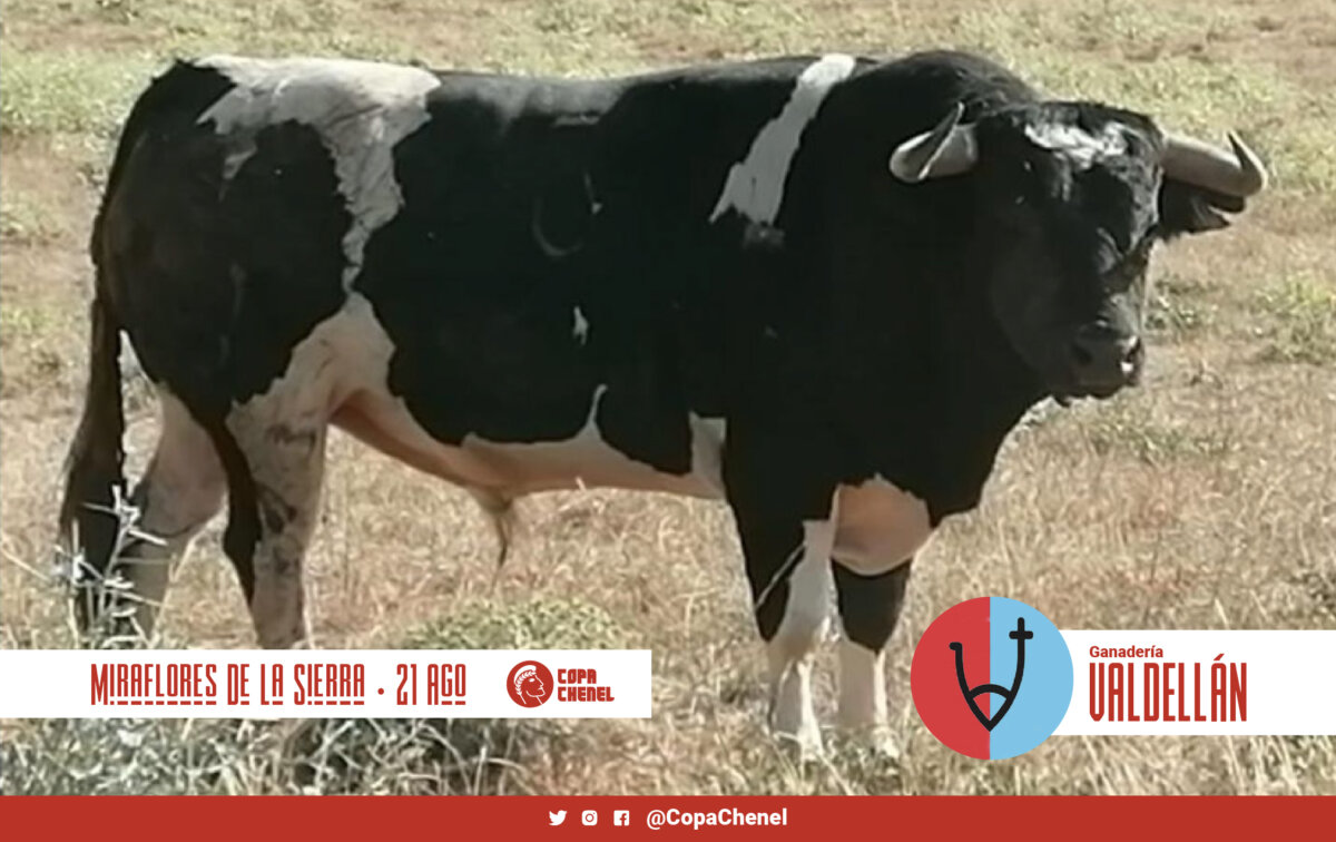 Valdellán y Monte la Ermita inauguran la Copa Chenel