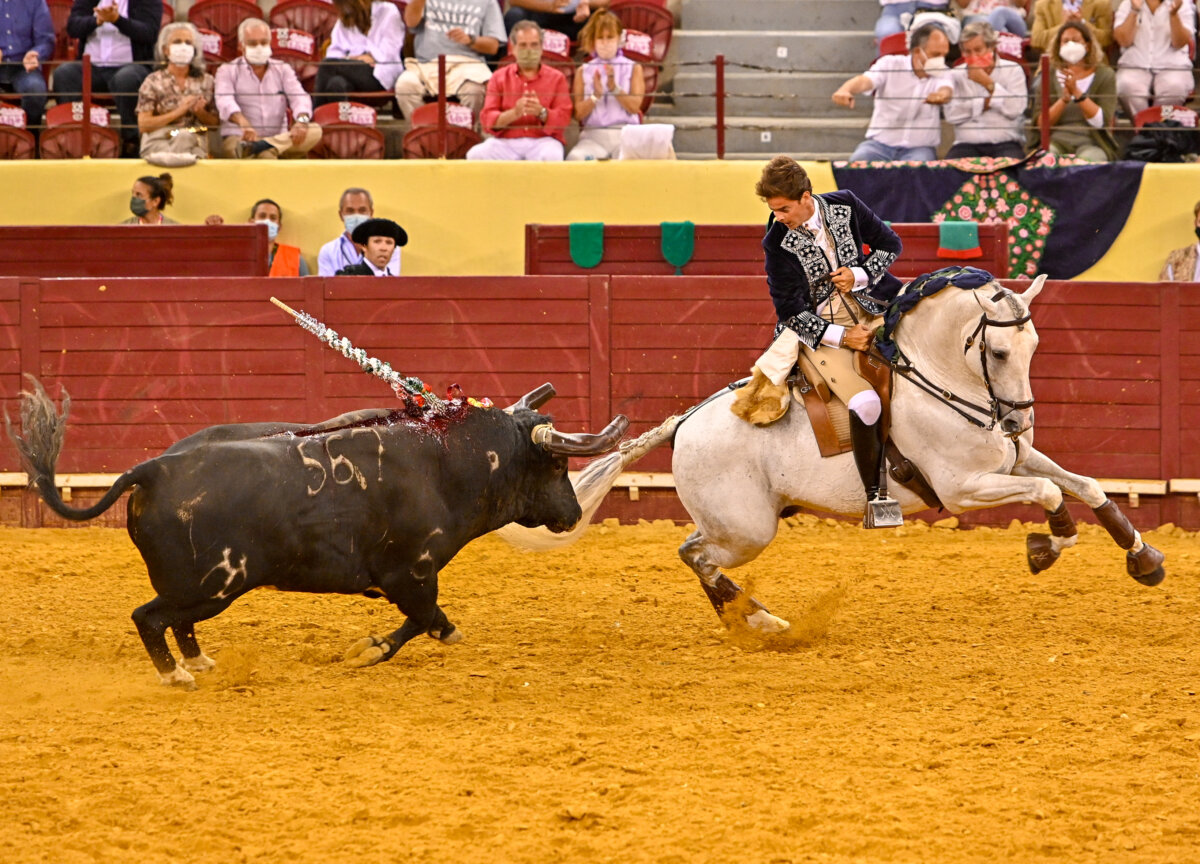 El momento de Francisco Palha, en el regreso de los toros a Campo Pequeno