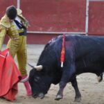 Ángel Bravo | Cultoro