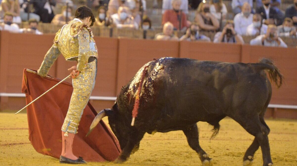 Manuel Perera, reconocido como novillero triunfador del ciclo maestrante
