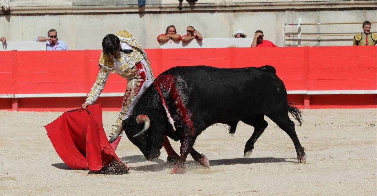 Solo el compromiso de Roca Rey y El Rafi en la mañana de Nimes