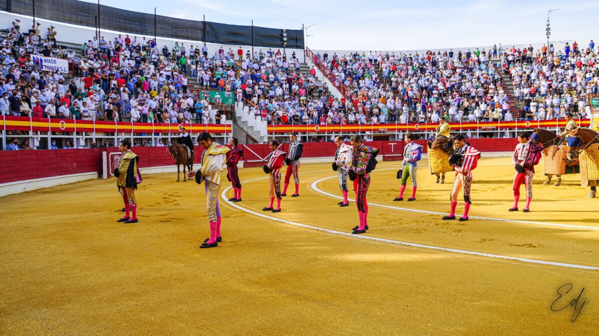 Medina del Campo apuesta por una terna de artistas