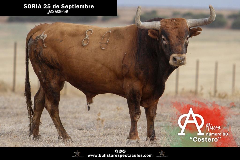 Estos son los toros de Miura para Soria