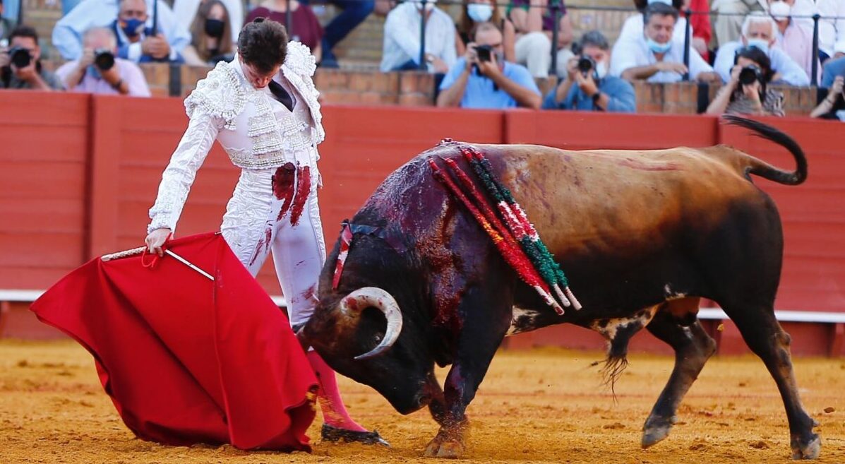 La firmeza de Luque con decepcionante encierro de Santiago Domecq