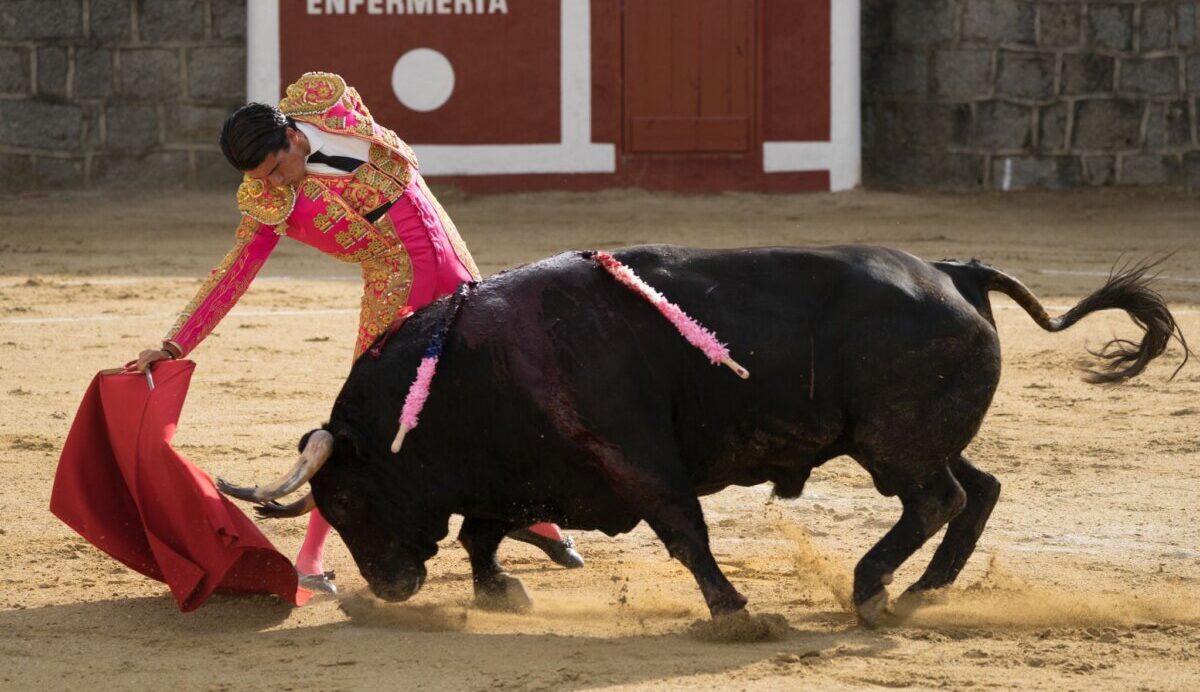 Una novillada con caballos y una corrida de toros en Sotillo de la Adrada