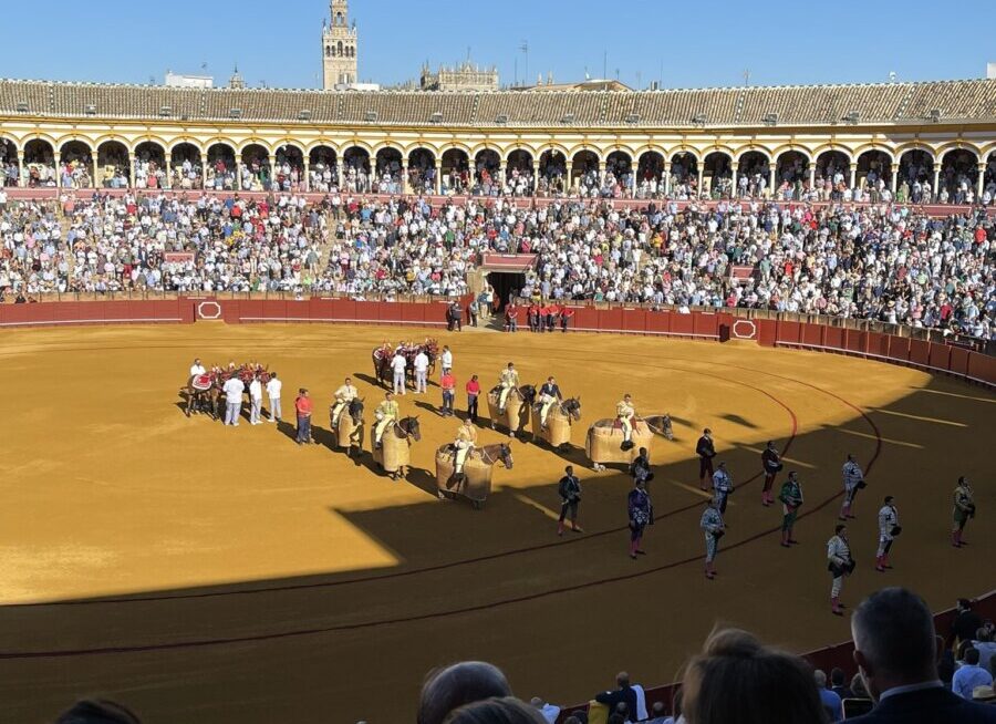 Una novillada sin picadores benéfica cierra la temporada en Sevilla