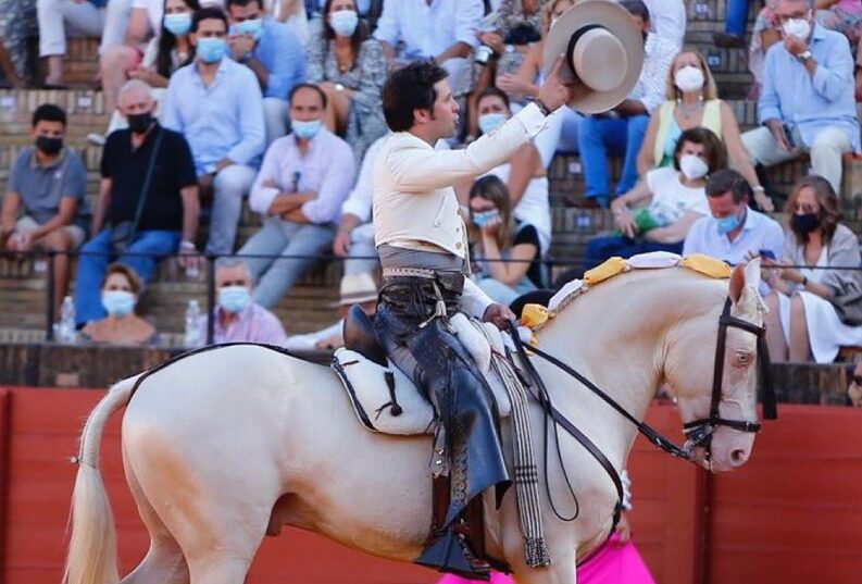 Muere Máximo, el caballo de Andrés Romero corneado en Sevilla