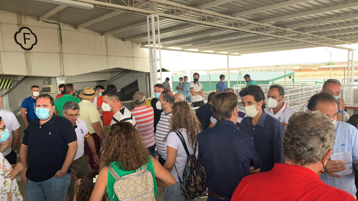 Sorteados los novillos de Jandilla para la segunda clasificatoria del Alfarero de Oro