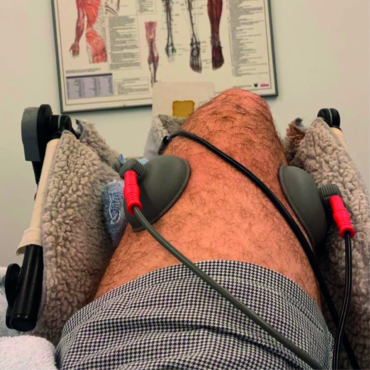 Francisco Palha, obligado a cortar la temporada