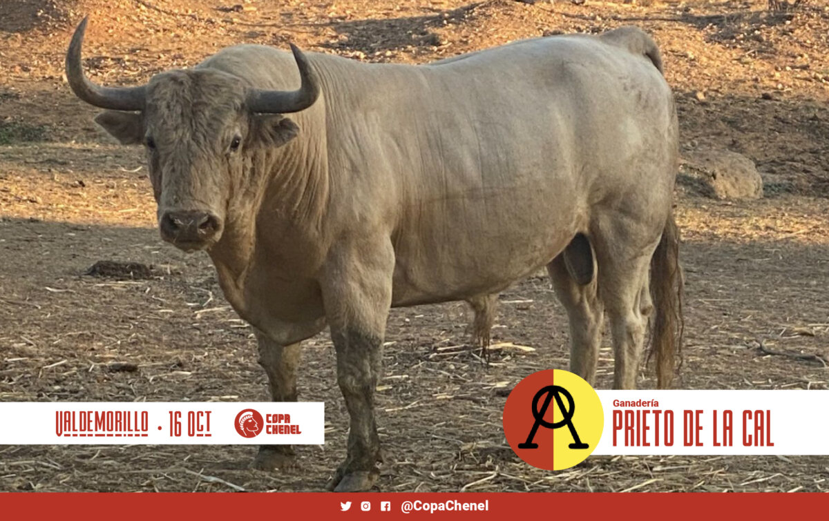 Zacarías Moreno y Prieto de la Cal, duelo ganadero de la primera semifinal