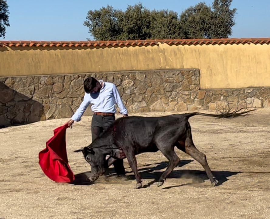 Los novillos para la apuesta en solitario de Manuel Perera, que se prepara en tierras extremeñas