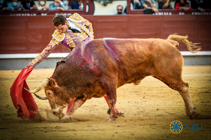 Cuando la arena se convierte en parqué