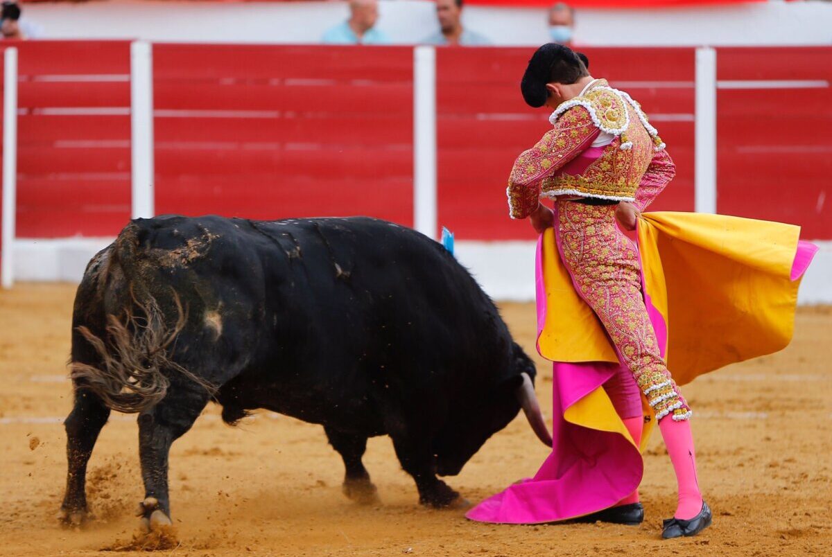 Ginés Marín, de promesa a realidad