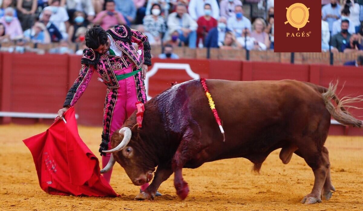 Morante y Hermanos García Jiménez, ganadores del XI Premio del Hotel Colón de Sevilla