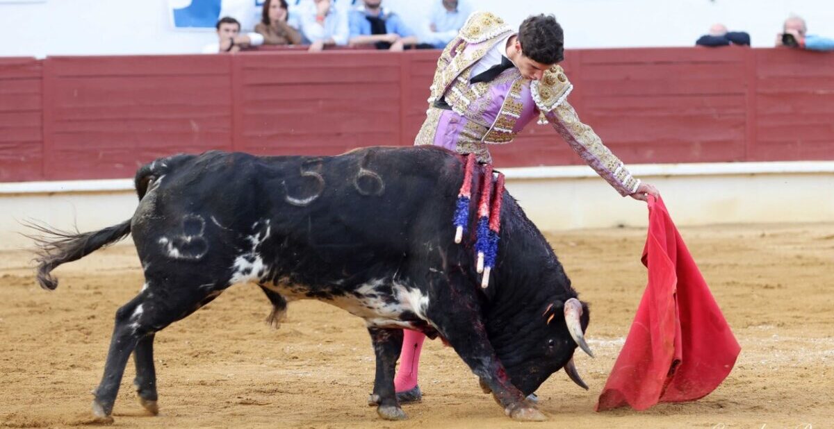 Saint Sever: sensacional Yon Lamothe con excelente novillada de Casanueva y Alma Serena