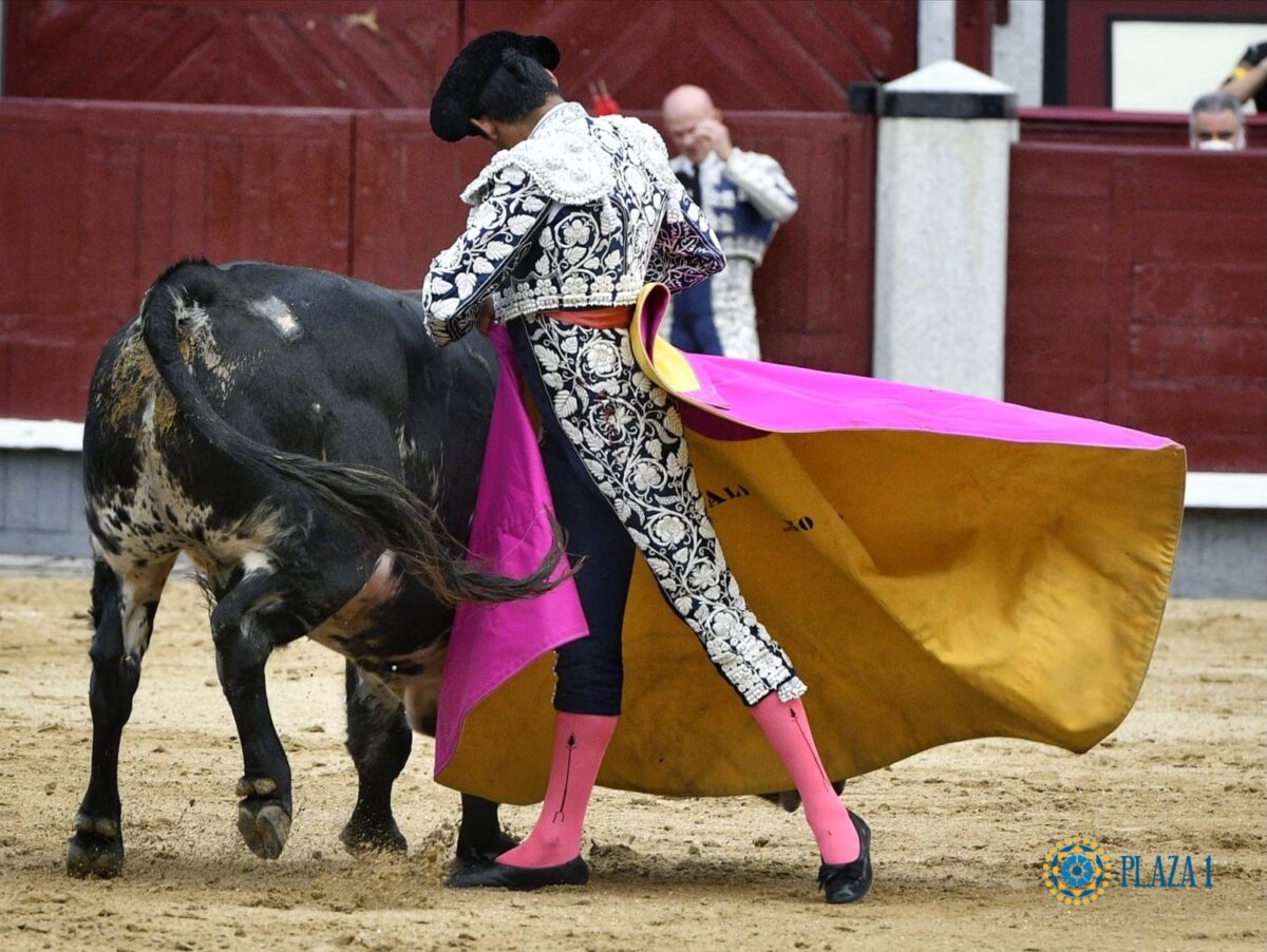 Digna presentación de Alejandro Adame en la novillada de Madrid