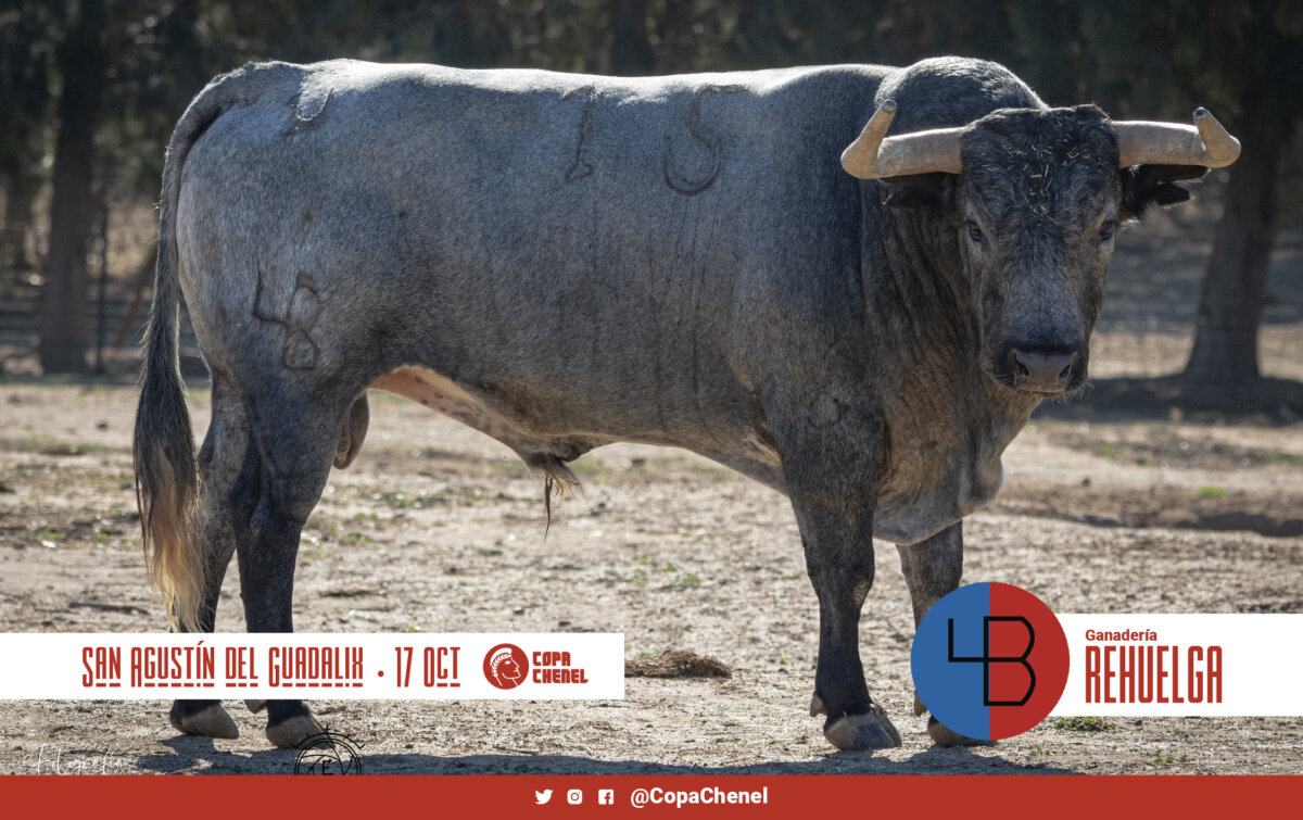 Cuadri vs Reguelga, en la semifinal de la Copa Chenel
