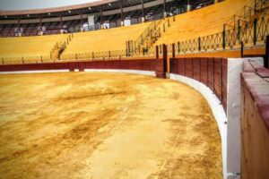 Foto: Luis Miguel Delgado / Diario Área