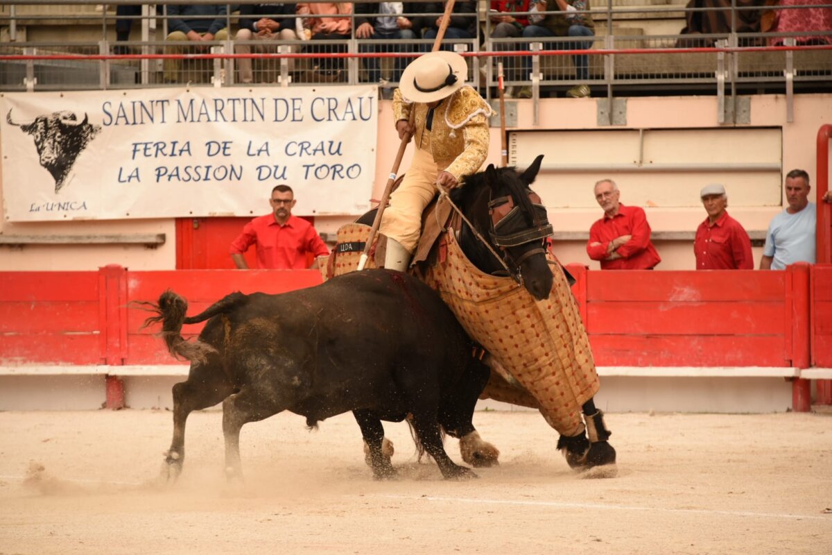 Charlotte Yonnet, premiada por la Asociación Francesa de Veterinarios Taurinos