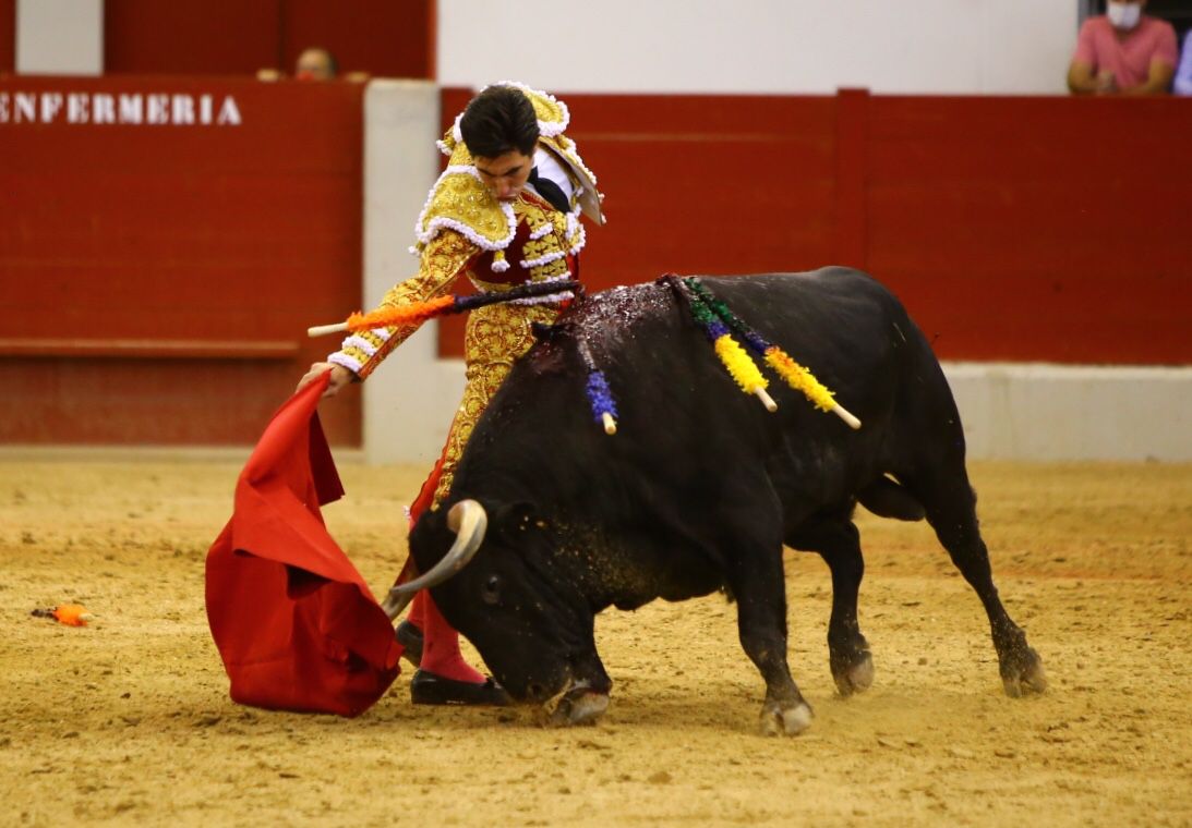 Álvaro Lorenzo y Encadenado, de Domingo Hernández, inundan Las Rozas de buen toreo
