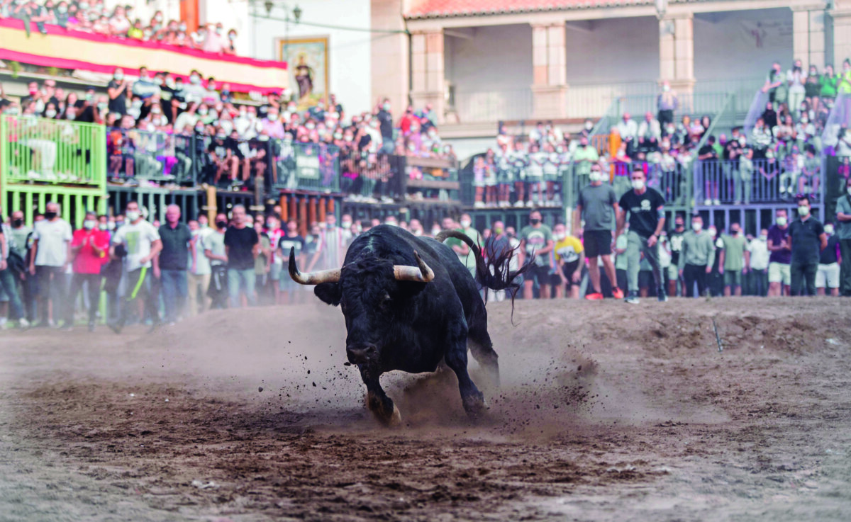 Exterminio es el objetivo
