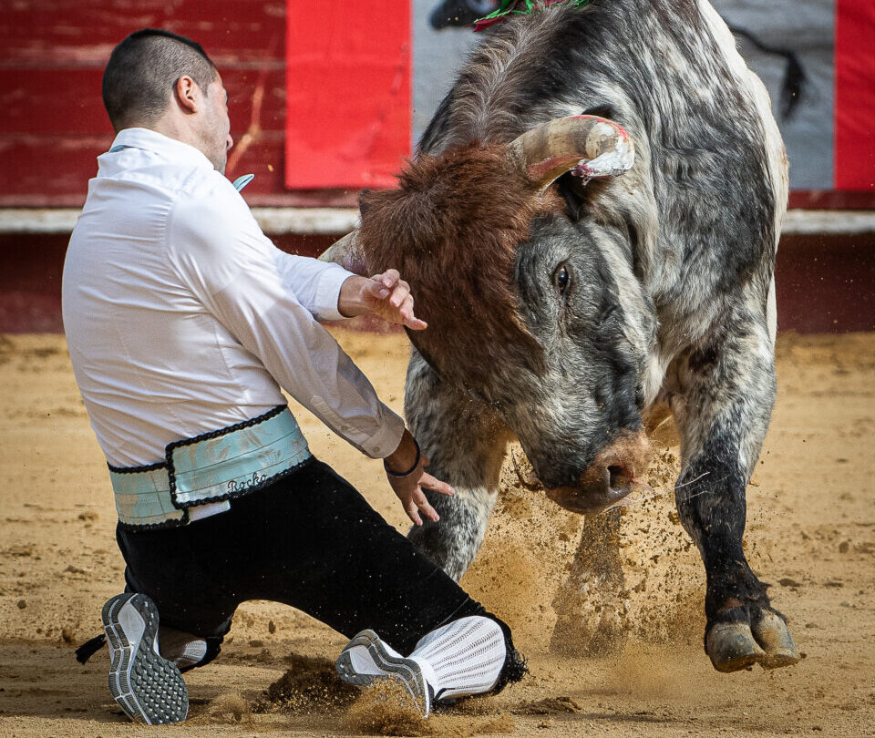 Las imágenes más espectaculares del concurso de recortes de Valencia
