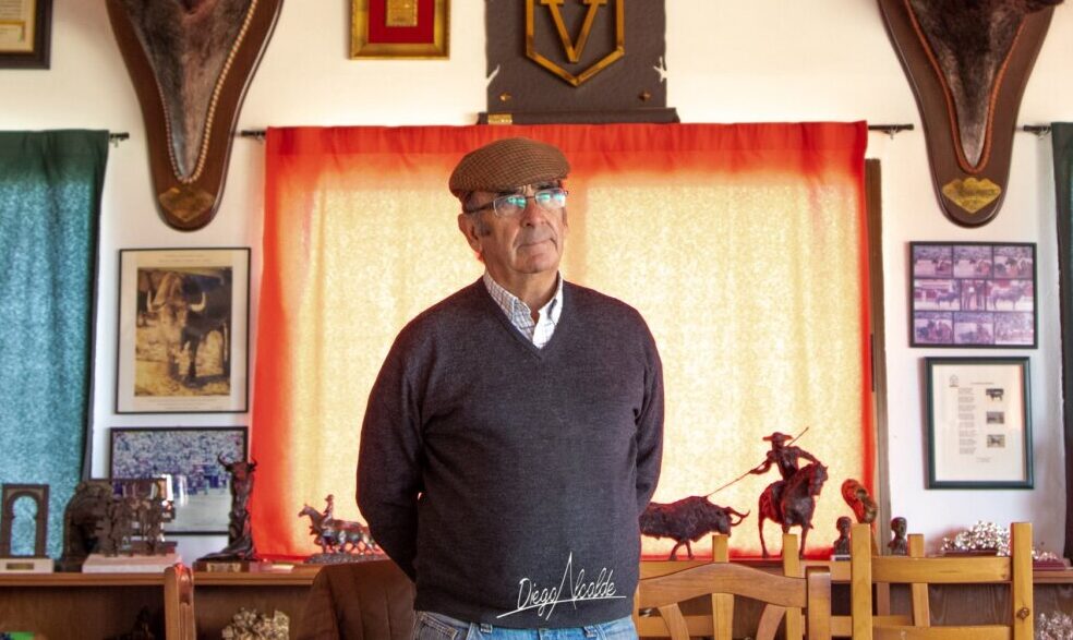 Los toros del concurso de recortes de Valencia, vistos por sus ganaderos