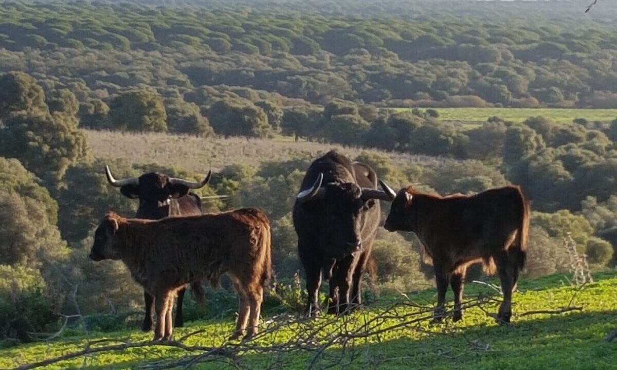 "Son días peligrosos para aquellos mamoncillos que empiezan a comisquear la hierba"