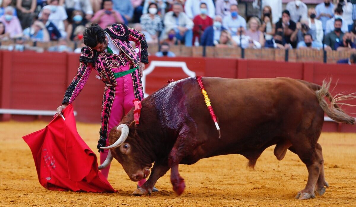 Morante de la Puebla, Memorial Manolo Vázquez del Real Club de Andalucía El Aero