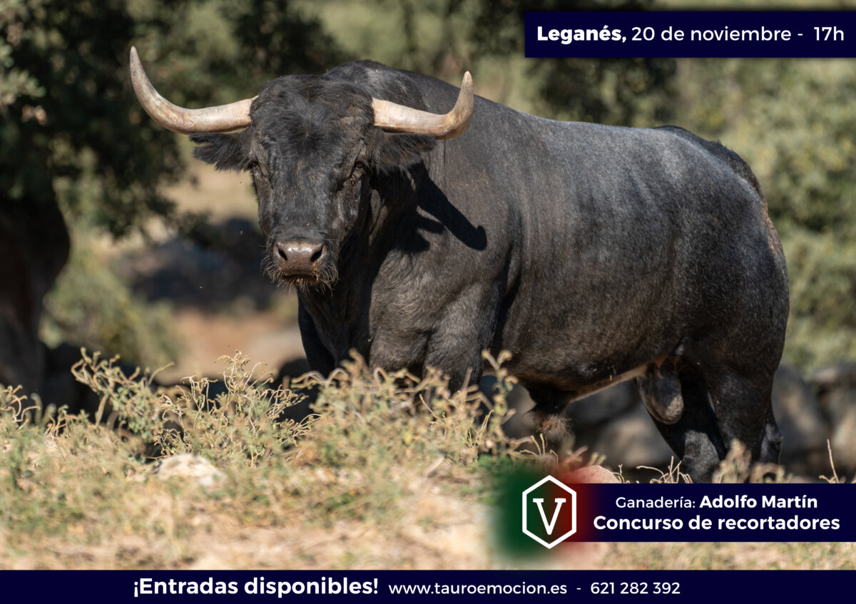 Serios adolfos para el concurso nacional de recortadores de Leganés