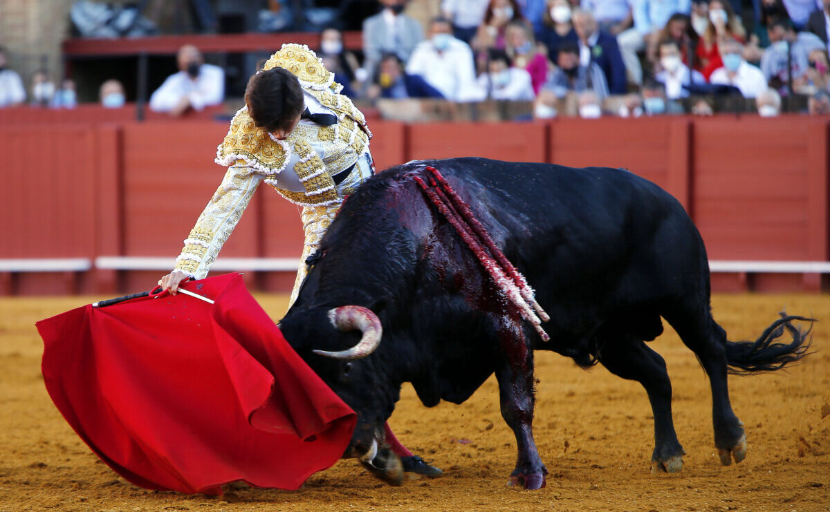 Roca Rey, fuerza volcánica