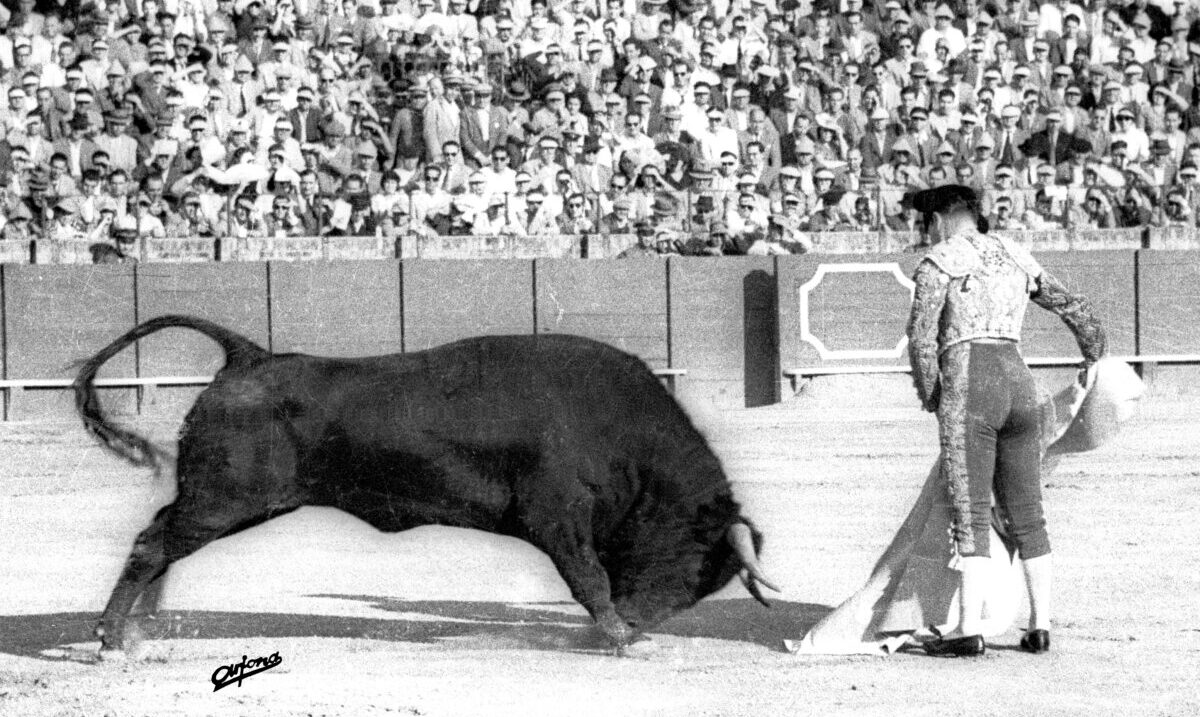 Pepe Luis, primero la inteligencia y luego el arte