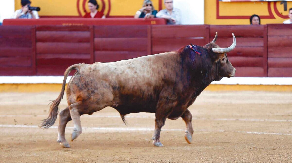 Interesante e ilusionante