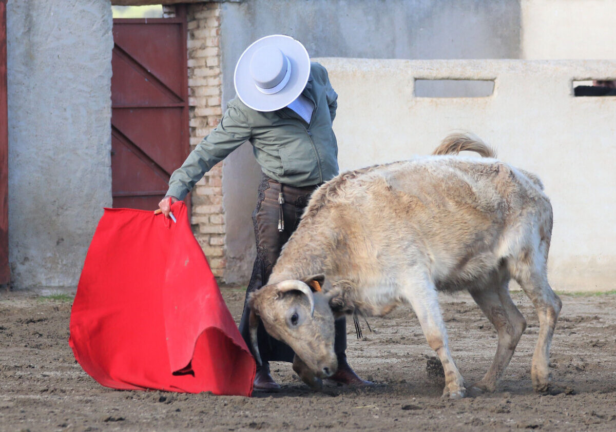 El clasicismo imperecedero de Sánchez Puerto en casa de Victoriano de la Serna