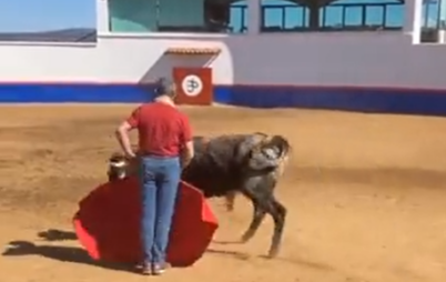 El maestro Capea, hoy como ayer