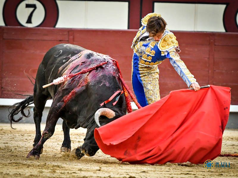 La nueva apuesta de Julián Guerra