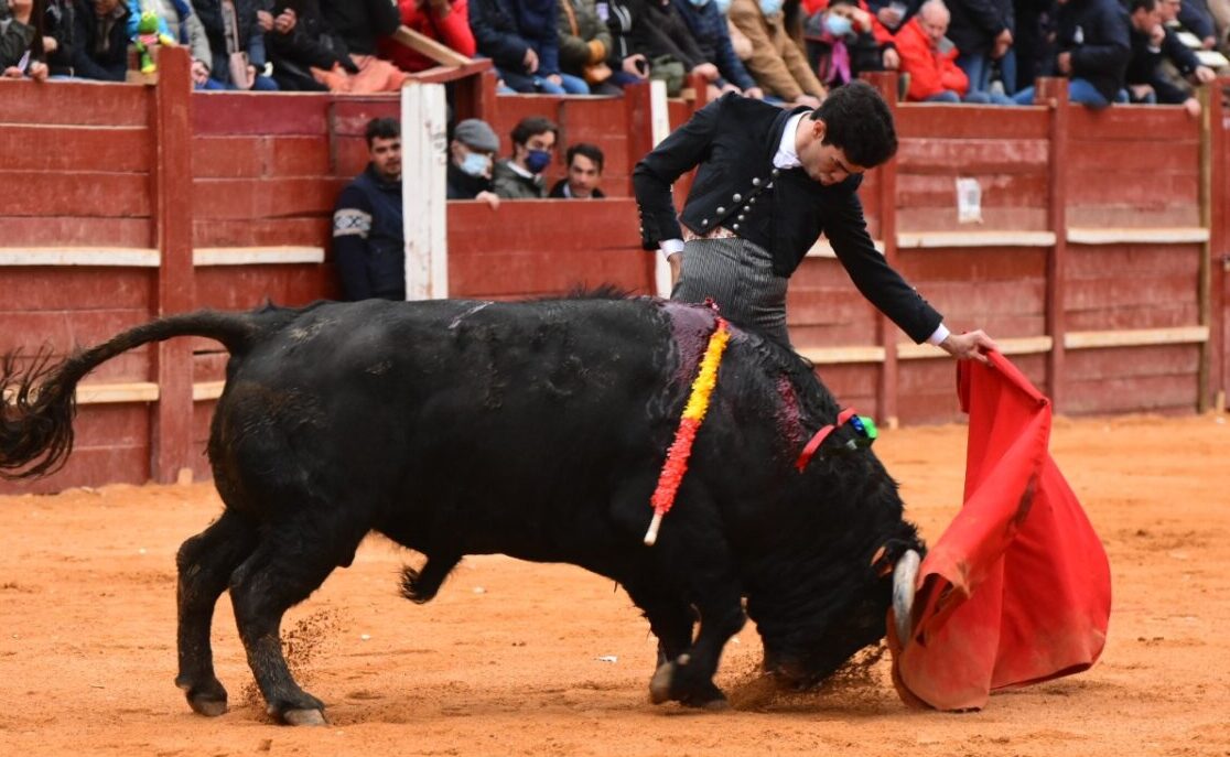 "Con Tomás Rufo los Lozano envidan a la carta más alta... ¡torero habemus"