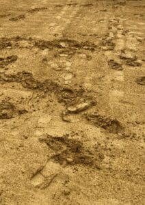 Fotografía: @LeaVicens