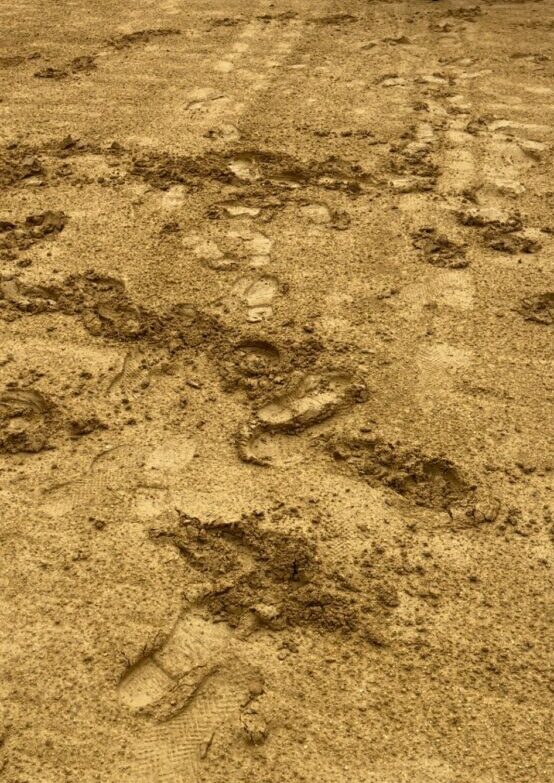 Montoro declina celebrar su festejo mixto