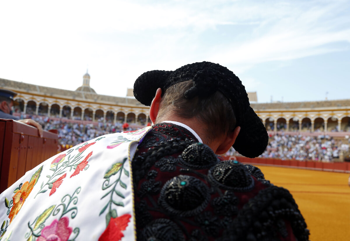 "Es el momento de los aficionados, que acudan a las plazas de toros"
