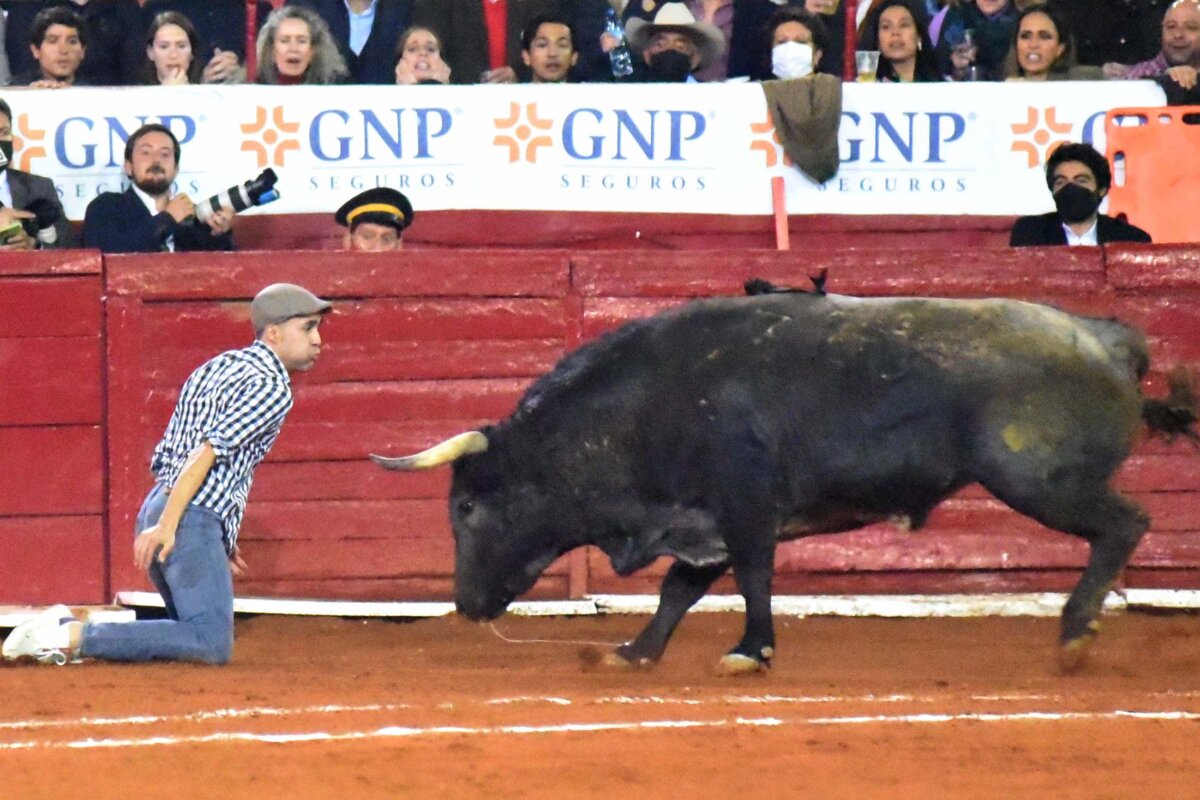 El novillero Jorge Glison se tiró de espontáneo en la Plaza México