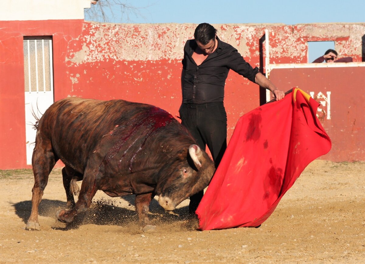 Finito de Córdoba se inspira en Apolinar Soriano