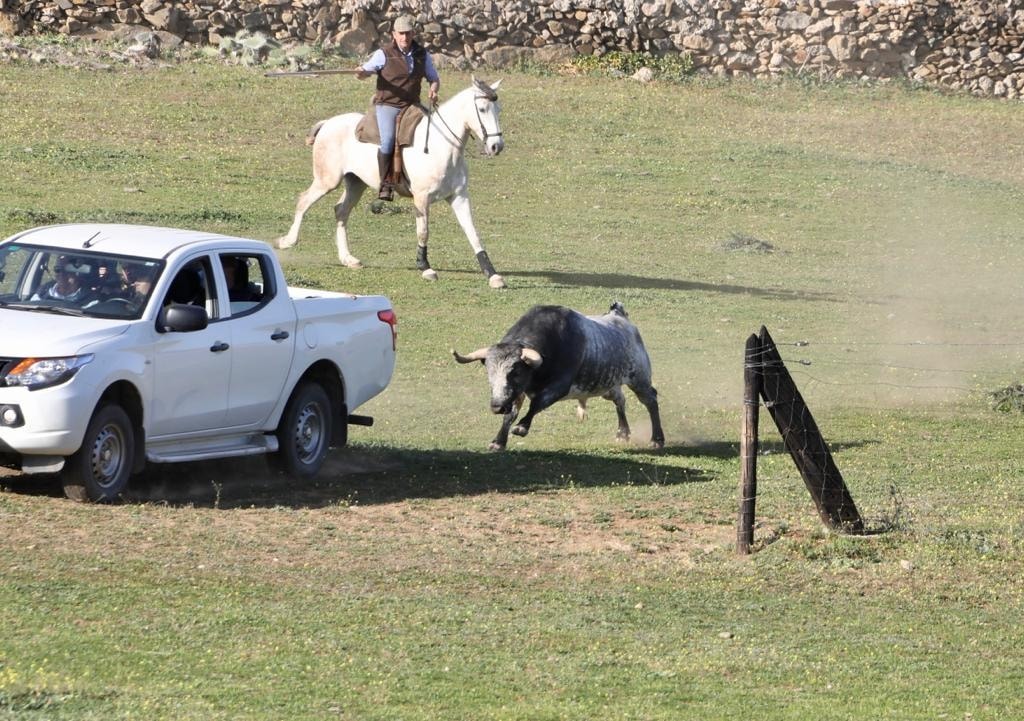 Tenso momento en la ganadería de La Quinta