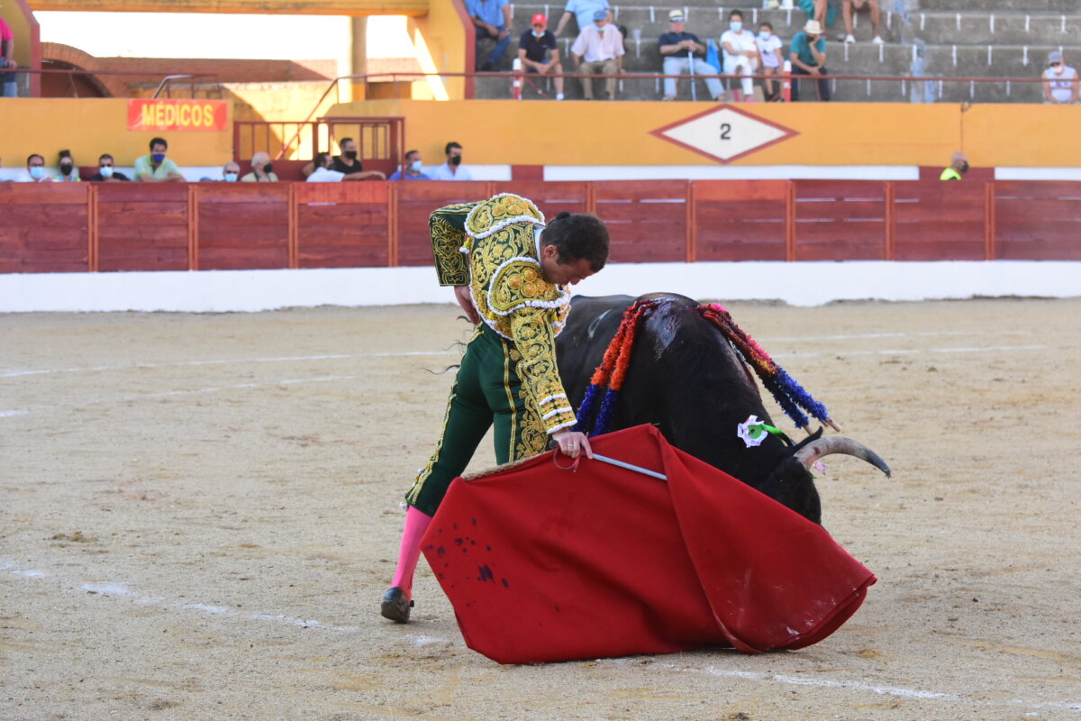 Estas son las ganaderías por las que ha apostado Cenicientos