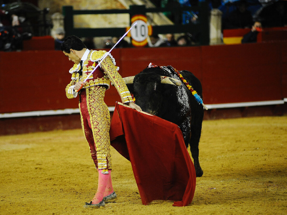 "Para torear bien y con arte hace falta mucho valor, Valencia lo dejó claro"
