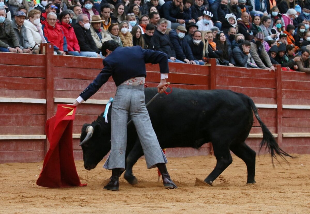 Mario Navas, un valor al alza