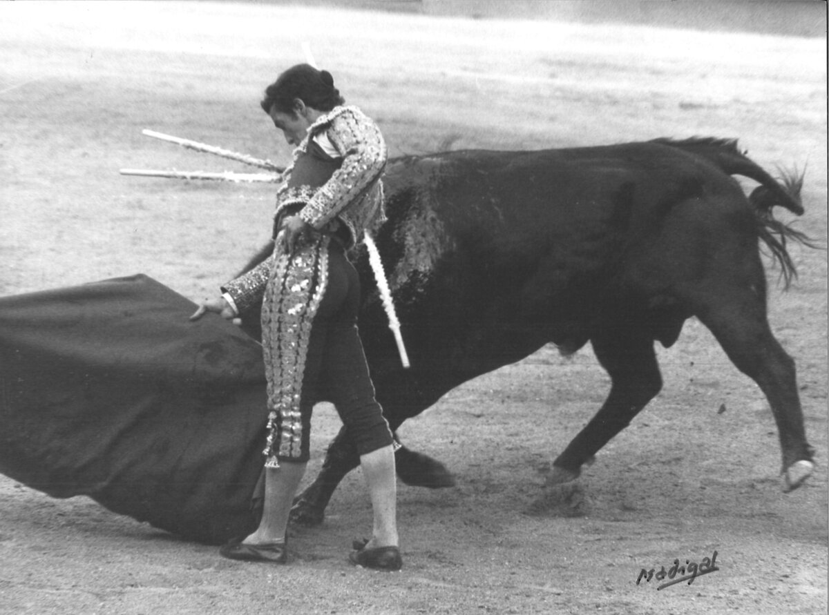 La tauromaquia de Gabriel de la Casa, en imágenes