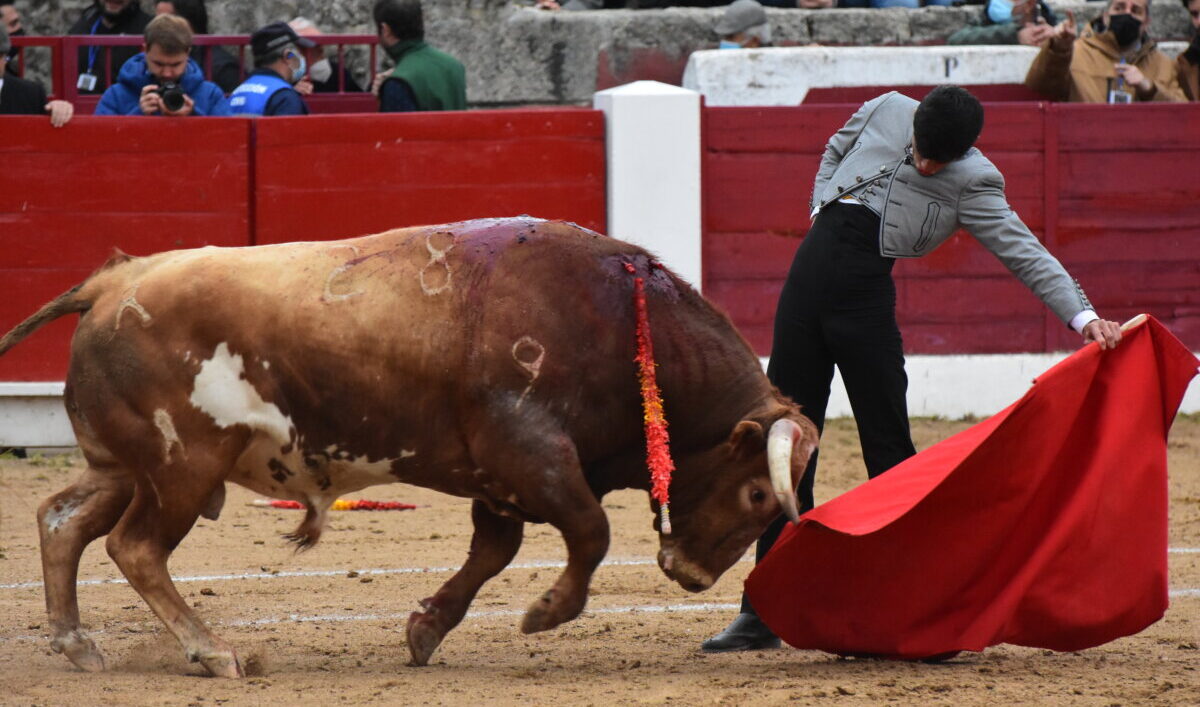 Morante, Aguado y Diosleguarde, buen toreo contra la ELA