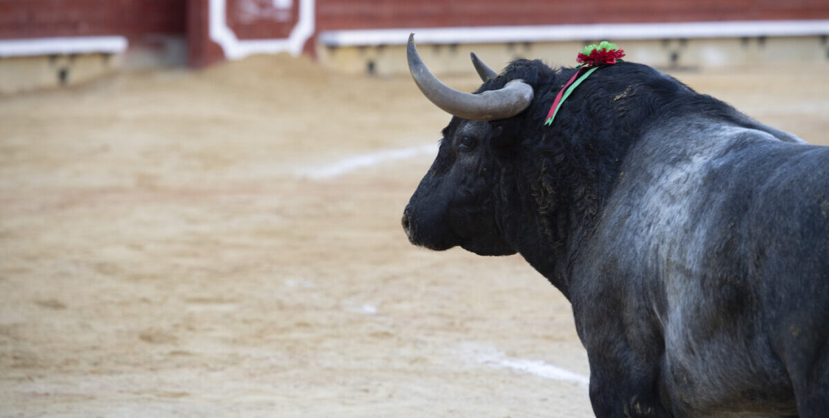 Castellón, órdago a lo grande