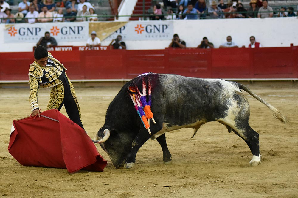Héctor Gutiérrez, tres orejas en Guadalajara